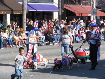 2008 Doo-Dah Parade: Bassett Hounds eating marshmallows