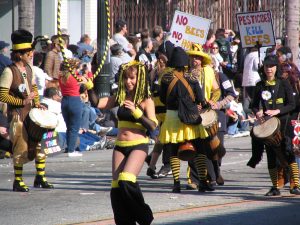 2008 Doo-Dah Parade: Pesticides Kill Bees