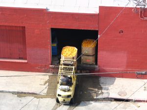 Down LA River Part 3: box of oranges