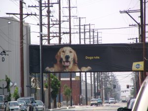 Down LA River Part 5: Dogs Rule