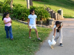 Down LA River Part 7: 3 girls and a duck at Hollenbeck Park