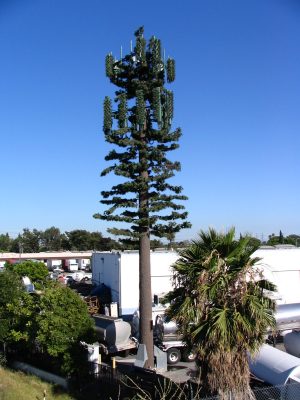 Down LA River Part 8: cellphone tower