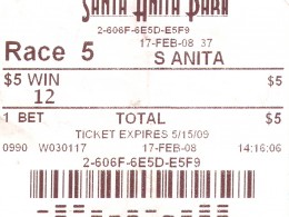 Santa Anita 2008: Race 5 ticket