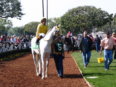 Santa Anita 2008: Spinning Yarns