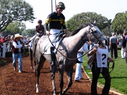 Santa Anita 2008: viewing horses