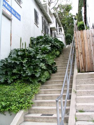 Sunset Boulevard - Part Five: The Music Box Stairs