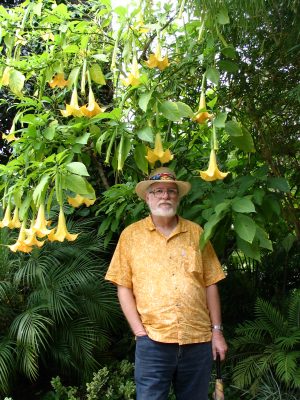 Sunset Boulevard - Part Six: Hooray! Hollywood! John Varley, angel trumpet