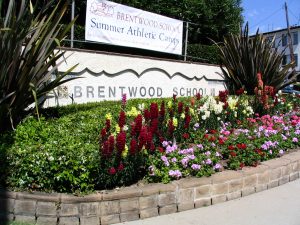 Sunset Boulevard - Part Sixteen: Brentwood, school