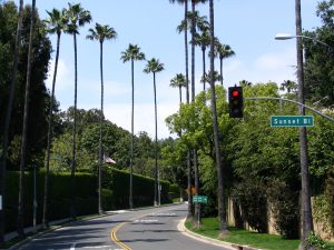 Sunset Boulevard - Part Twelve: Garbage Cans of Beverly Hills: side street