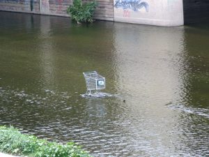 Up LA River Part 1: shopping cart