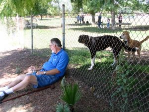 Up LA River Part 12: John Varley fence dogs