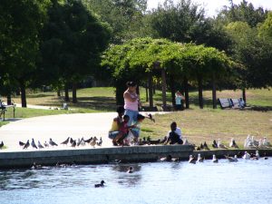 Up LA River Part 12: feeding bird at Balboa Lake