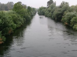 Up LA River Part 12: wild 1