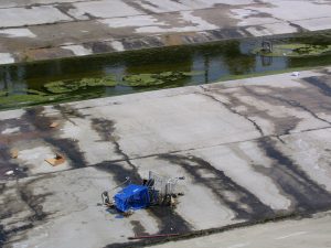 Up LA River Part 13: shopping cart