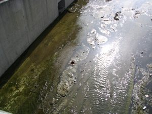 Up LA River Part 13: stranded hat