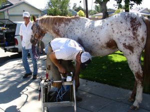 Up LA River Part 5: China Cowboy gets new shoes