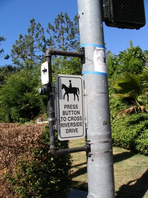 Up LA River Part 5: horse crossing