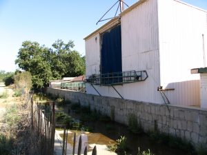 Up LA River Part 5: river peters out