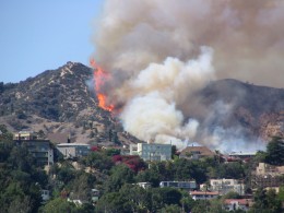 Up LA River Part 6: Griffith Park fire 1