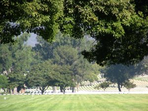 Wilshire Blvd Part 6: headstones