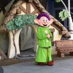 Disneyland and California Adventure Part 5: Dopey