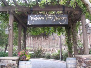 Disneyland and California Adventure Part 5: Golden Vine Winery