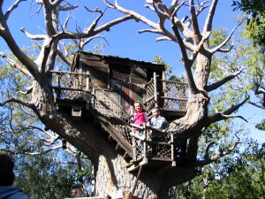 Disneyland and California Adventure Part 6: treehouse