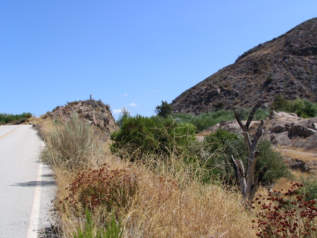 St Francis Dam: DWP worker standing on dam site