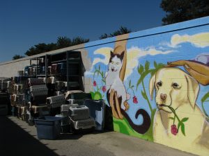 Burbank Animal Shelter: dog mural & carriers