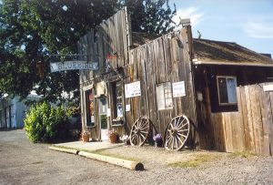 Bluebird store