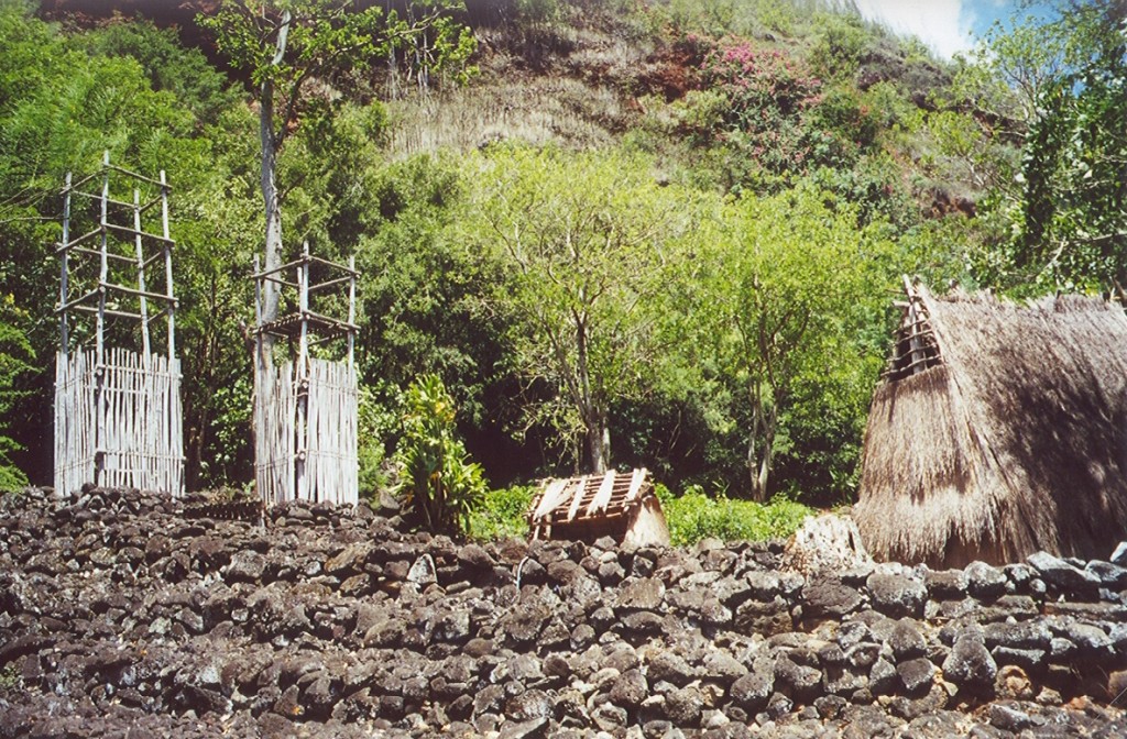 Hawaiian Temple 3