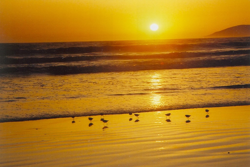 Oceano Dunes sunset