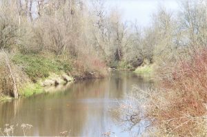 canal behind trailer