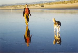 reflections woman walking dog